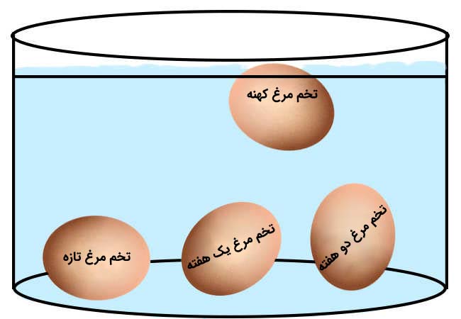 تشخیص تخم مرغ سالم